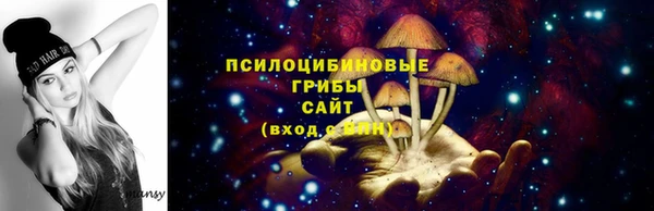 СК Верхний Тагил